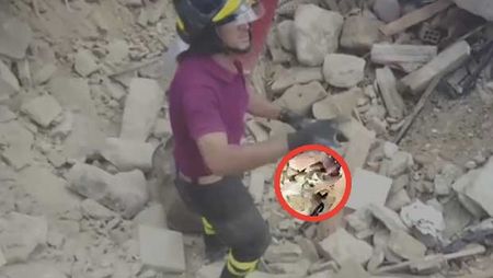 Cat Pulled From Rubble 15 Days After 6.1 Magnitude Italy Quake