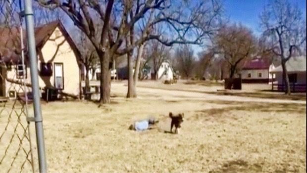 Source: Crappy Cake/Youtube/Viral Nova