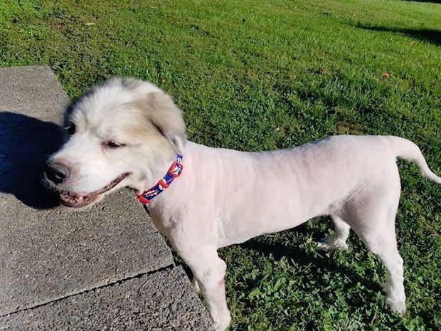 Source: Amanda Brooke Charsha-Lindsey