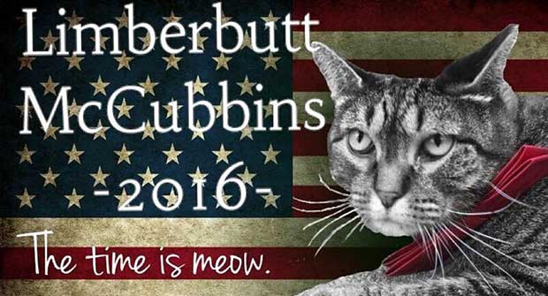 Limberbutt McCubbins Is the Only Presidential Candidate You’ll Want to Cuddle This November