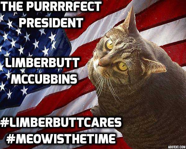 Source: Facebook/Limberbutt 2016