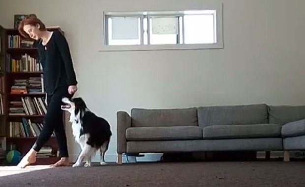 Girl Teaches Border-Aussie How to Do an Irish Gig, Roast Marshmallows and More