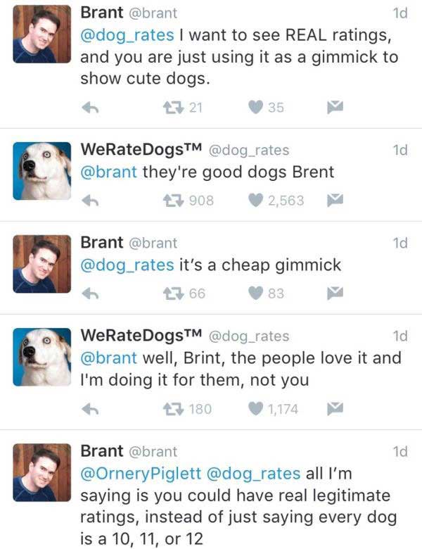 Source: Twitter/WeRateDogs