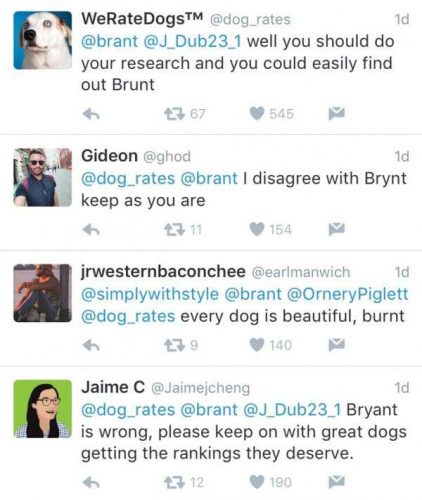 Source: Twitter/WeRateDogs