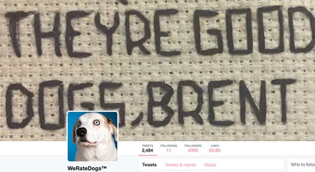 WeRateDogs Puts User on Blast for Complaints About Cute Dog Photos