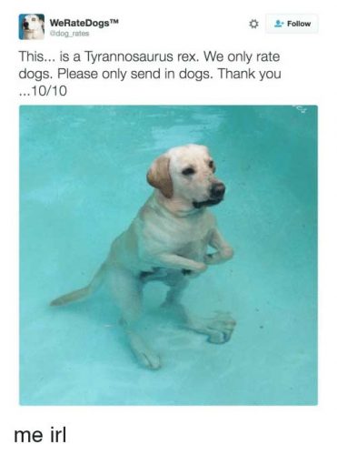 Source: Twitter/WeRateDogs