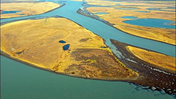 Source: Zolotarev Rostislav