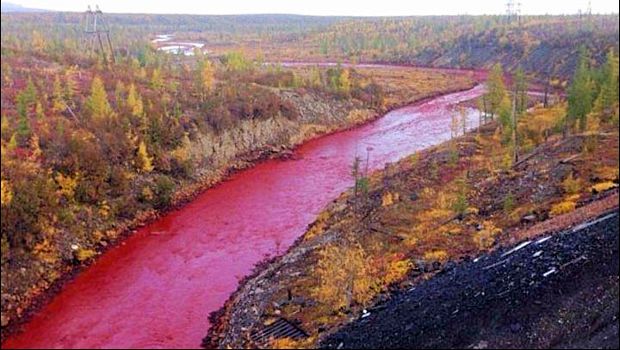 ‘River of Blood’ Mysteriously Flows in Russia