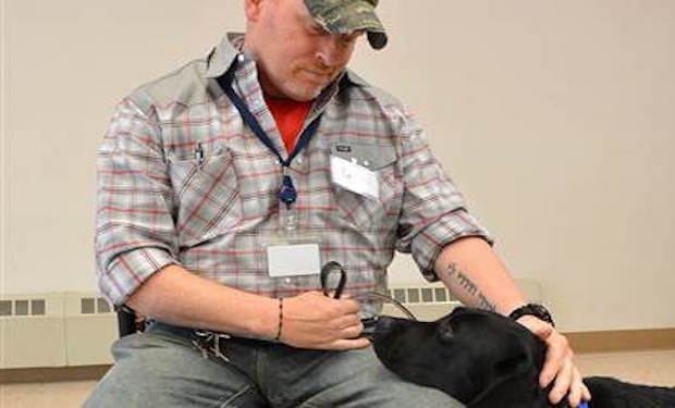 Source: America's VetDogs/Today