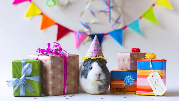 Source: Marloes van Antwerpen