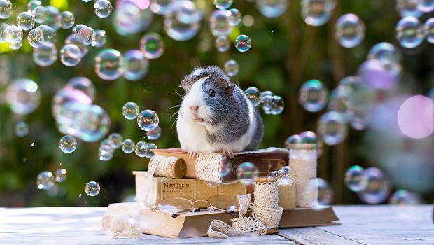 Source: Marloes van Antwerpen