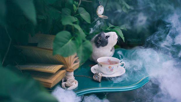 Source: Marloes van Antwerpen