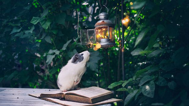 Source: Marloes van Antwerpen