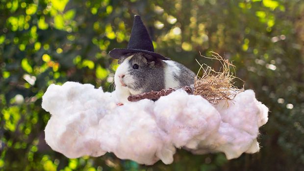 Source: Marloes van Antwerpen