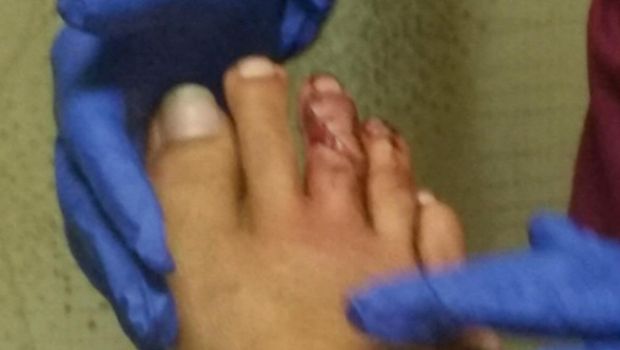 Source: Tyler McQuillen