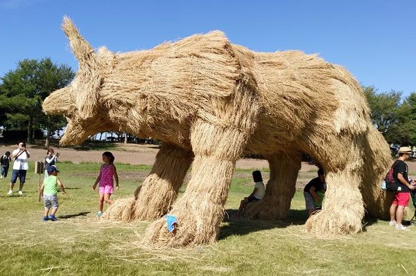 Source: Wara Art/Facebook