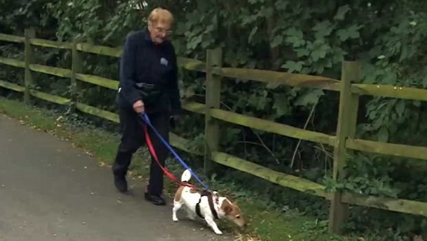 Adorable 97-Year-Old Woman Walks Local Shelter Dogs Every Day to Stay Active