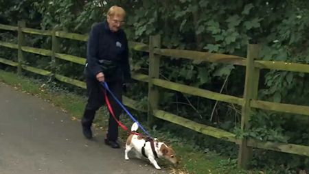 Adorable 97-Year-Old Woman Walks Local Shelter Dogs Every Day to Stay Active