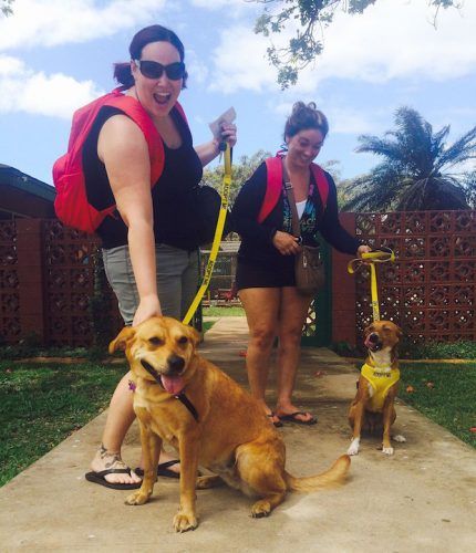 Source: THE MAUI HUMANE SOCIETY