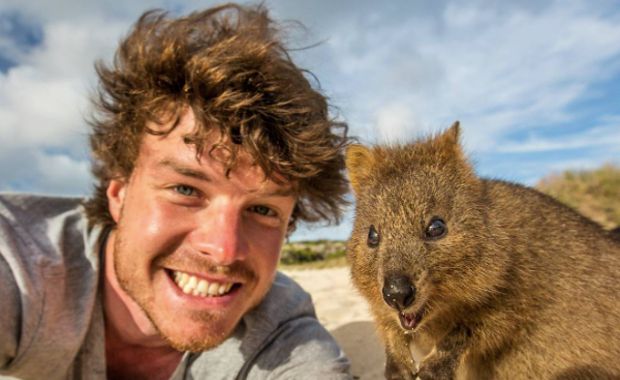 Best Job Ever? Man Travels the World and Takes Selfies With Animals for a Living