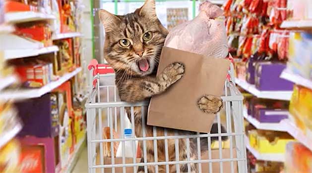 Source: AOL/Buzzfeed