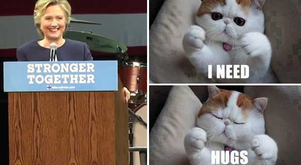 Even Hillary Clinton Needs to Take Breaks From Reality by Looking at Cat GIFs