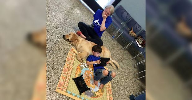 Touching Moment Shows Autistic Boy Connecting With Service Dog for First Time and Mom’s Reaction Is Priceless