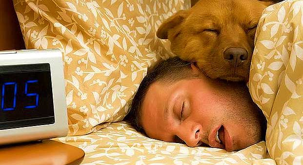 These Are 6 Perfectly Good Reasons Why Your Dog Should Sleep in Your Bed