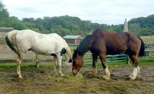 Source: www.philly.com