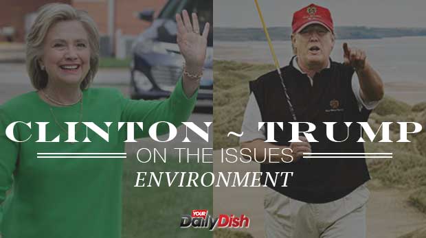 On the Issues: Clinton, Trump, the Environment and an Ever-Changing Climate