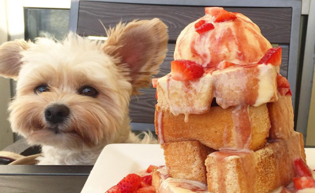 Source: popeyethefoodie
