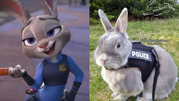 Source: Disney-Wikia/Facebook-Miss Bunz