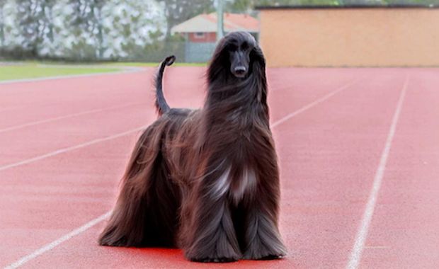 Source: Luke Kavanagh