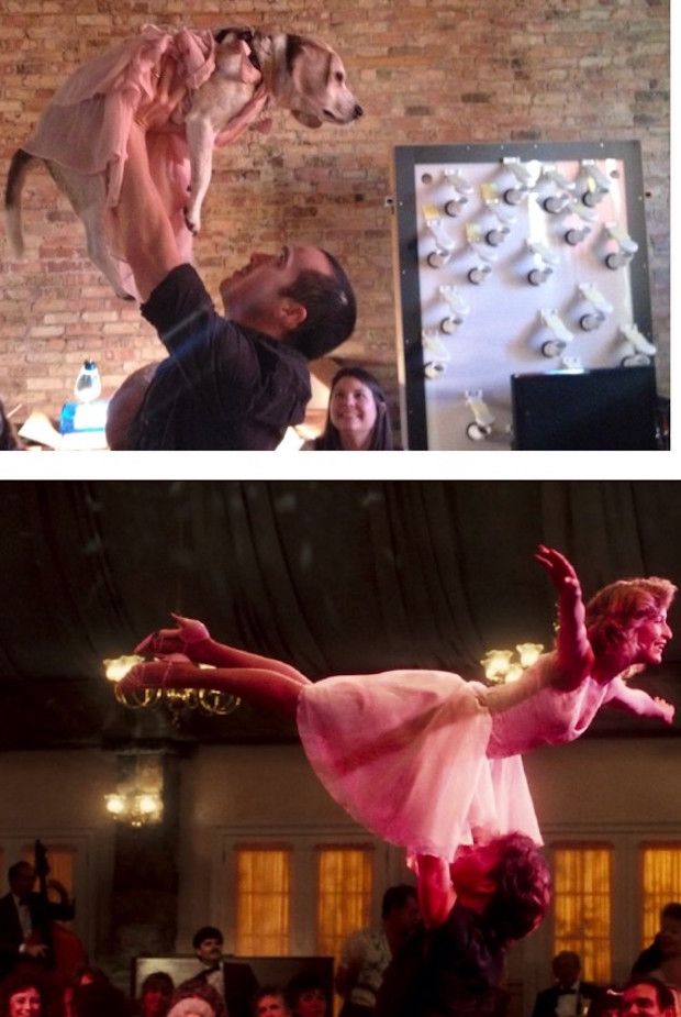 Man Recreates Famous Romantic Movie Scenes With Dog as His CoStar