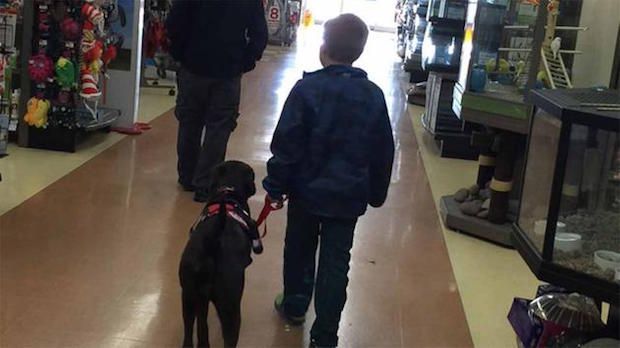 After Collecting Coins for Four Years, 8-Year-Old Diabetic Finally Has His Service Dog