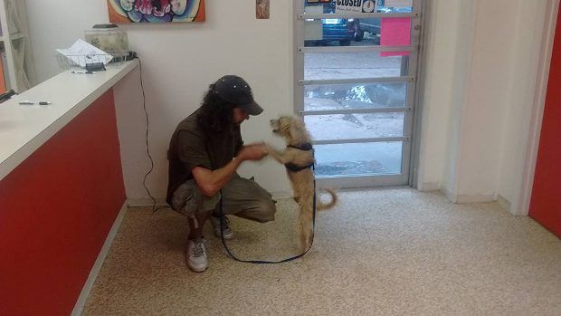 woman reunited homeless man with dog