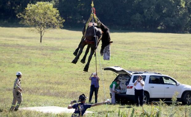 Source: www.philly.com