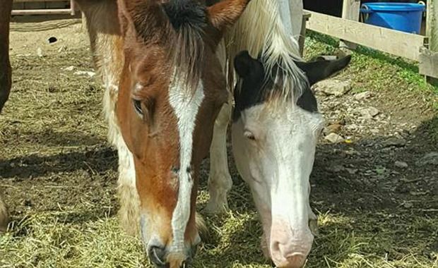 Source: Penny Parker/www.philly.com