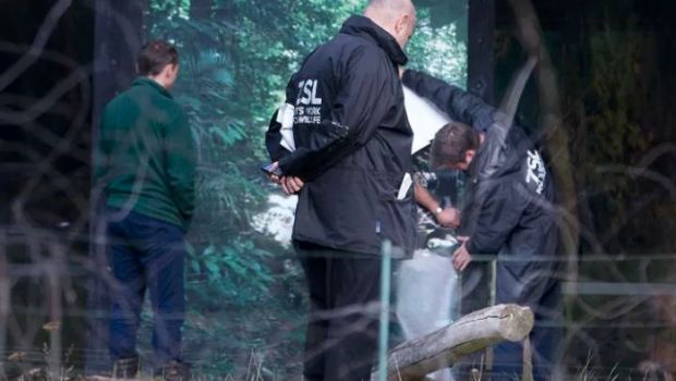 Source: The Telegraph