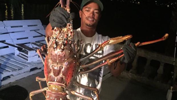 Hurricane Nicole Brings ‘Sea Monster’ Lobster to Bermuda