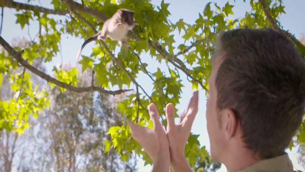 Source: Symbio Wildlife Park