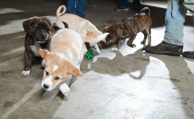 Source: www.mlive.com