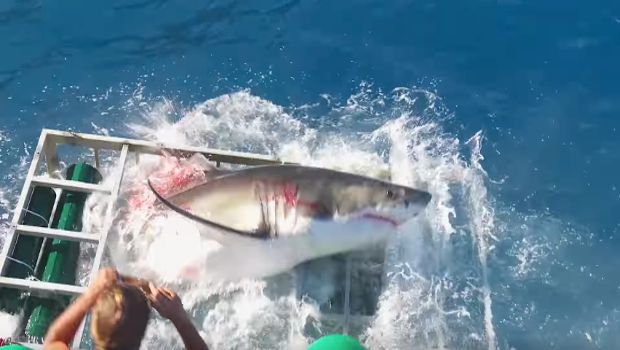 Source: YouTube/Gabe and Garrett