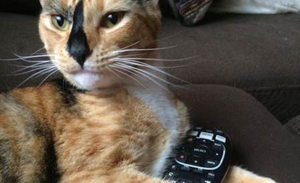 Source: Karolyn Smith