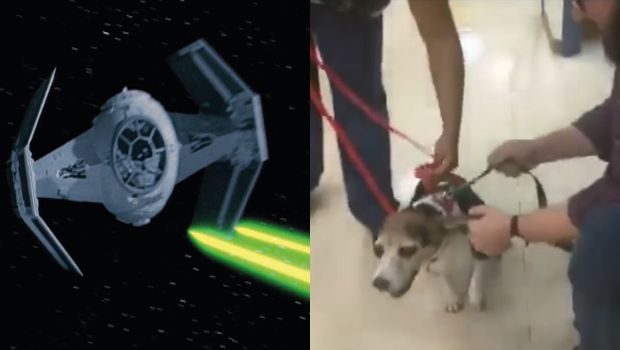 Star Wars Fans, Meet the Dog That Sounds Exactly Like a TIE Fighter