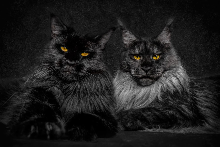 https://www.instagram.com/robert_sijka/