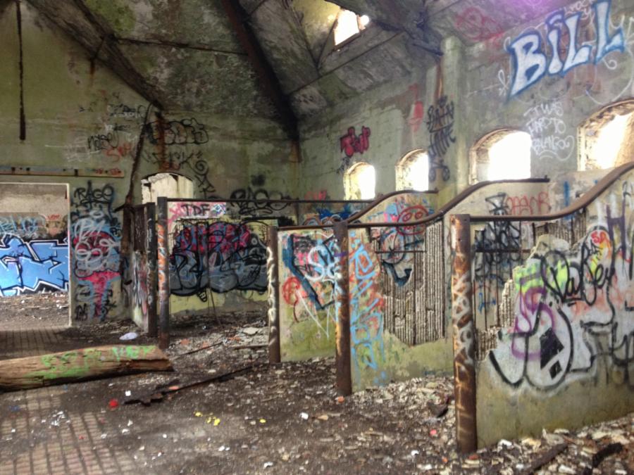PreservationPink