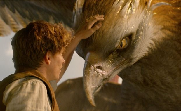 Review: ‘Fantastic Beasts and Where to Find Them’ Will Delight ‘Potter’ Fans, Bewilder Others
