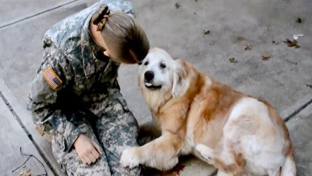 A Deaf Dog Cried Tears of Joy After a Solider Returned Home From Training