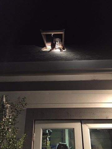 Source: Sonoma County Sheriff's Office